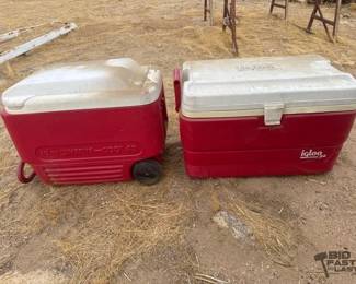 6502  2 Igloo Coolers