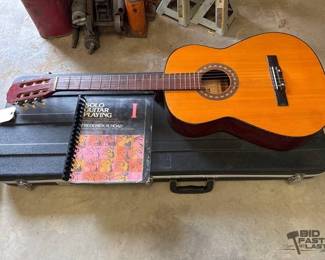 1006  Galaxia Acoustic Guitar, Proel Hard Case, and Solo Guitar Playing Guide