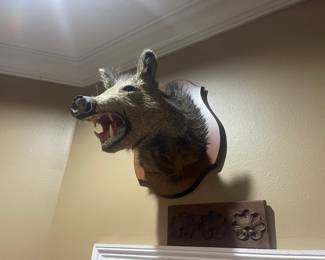 Wild boar mount