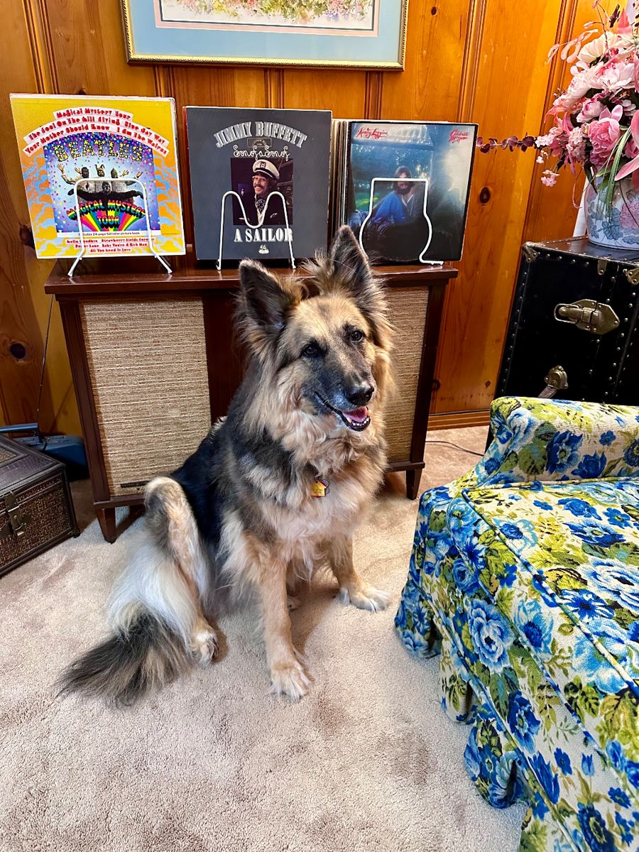 Large Collection of LP’s - Two Vintage Stereo Consoles