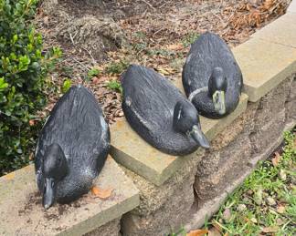3 Ducks 