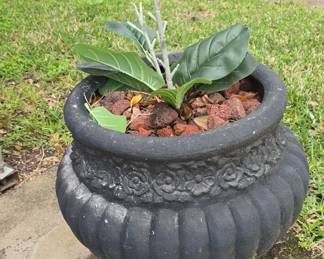 Flower Pot - We have 2