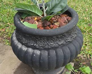 Flower Pot - We have 2