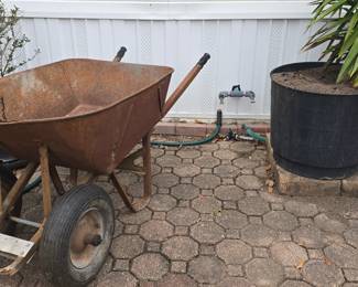 Wheel Barrow  - Plants