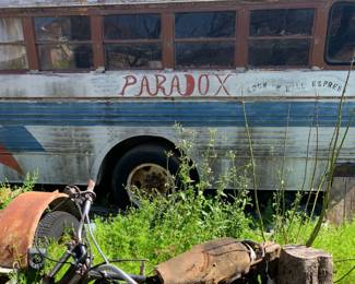 "Paradox" Bus