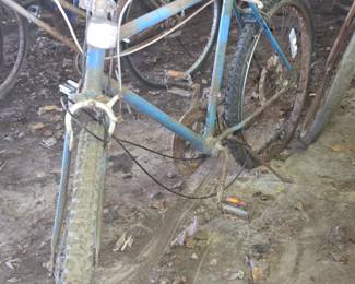 Here ya go! Another Bike