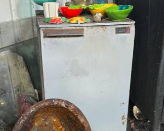 Old bathtub- Small Fridge - Home Decor