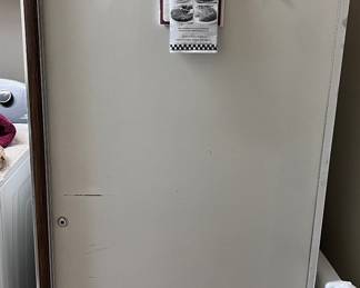 Large stand up Freezer 