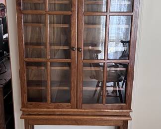 One of a kind handmade CD cabinet or curio cabinet 