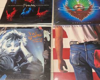 Vintage Journey and Bruce Springsteen vinyls 