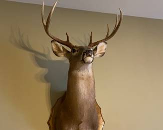 Oh Deer!