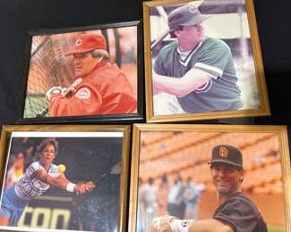 Sports Celebrities Photos 