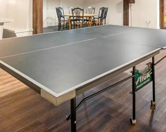 Ping Pong Table