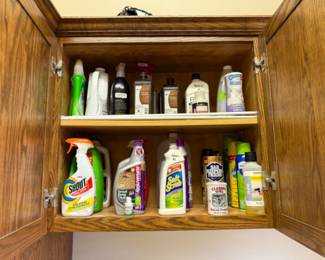 Cleaning Items