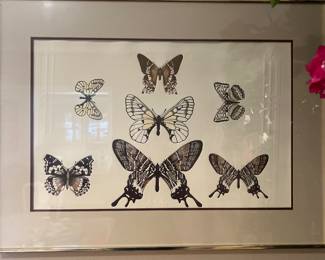 “The Collection” etching 