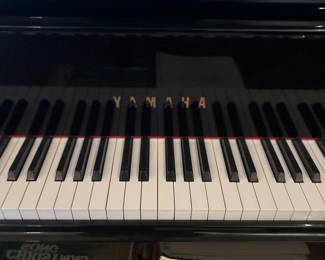 Yamaha 63.5” self playing baby grand piano