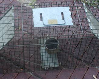 Couple of wild critter cages