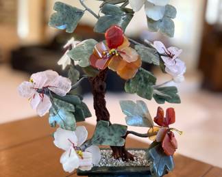 Jade Bonsai Tree