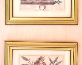 228 - 2 Framed Prints - 12" x 9.5"