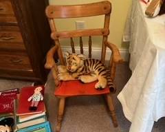 Children's toys, rocking chair