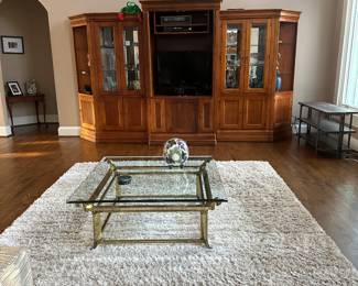 Media center rug furnishings