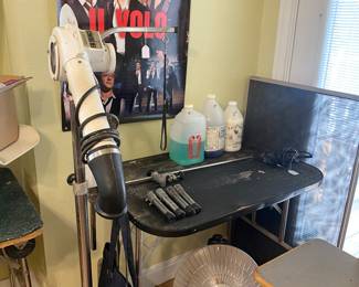 Dog grooming, table and hairdryer