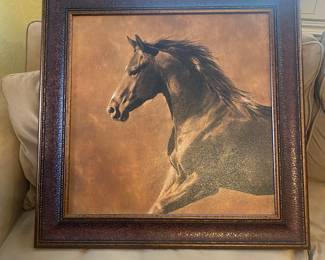 Lovely stallion picture