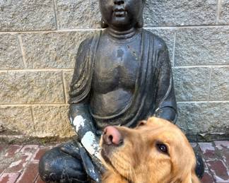 Resin large Buddha with our boy Buddy (again, Buddy's not for sale)