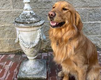 Cast concrete urn with removable lid; 36”H. Buddy poses for size (sorry he's not available for purchase)