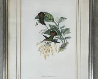 Pair of John Gould framed color Hummingbird lithographs