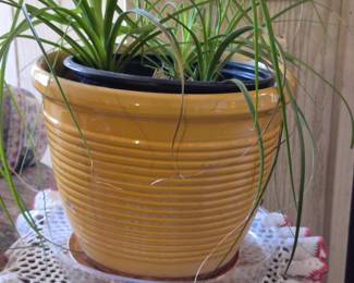 Vintage ribbed plant pot