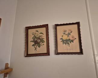 Several vintage floral prints.