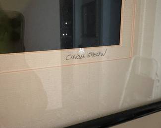 A90 - $30. Charles Shelton signed frame photograph "Calla"