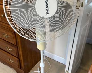 Oscillating fan