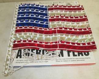 Lighted Flag