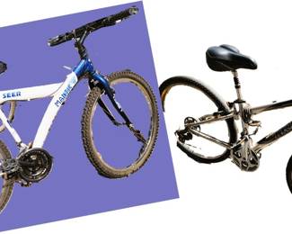 Bicycles: Seer Mantis and Trek RST