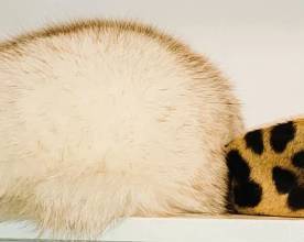 Woman's hats including leopard print and fur