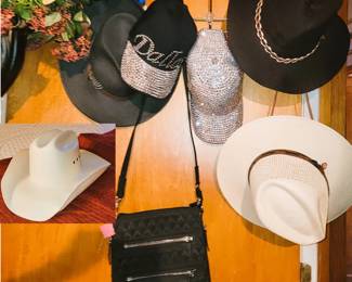 Stetson hats (2), Concealed purse, sparkle caps