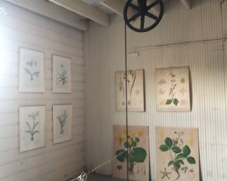 Good botanicals