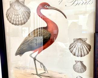 Large Framed Print "Heron Anthology II"