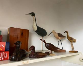 Bird Collection
