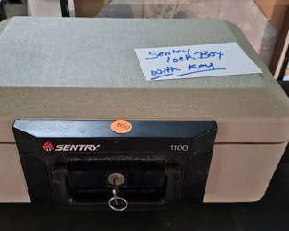SENTRY BOX WITH KEY