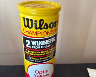 Wilson Championship Extra Duty Tennis Balls 