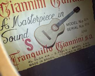 Giannini Guitars 