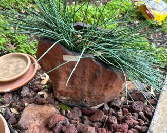 Rock Planter
