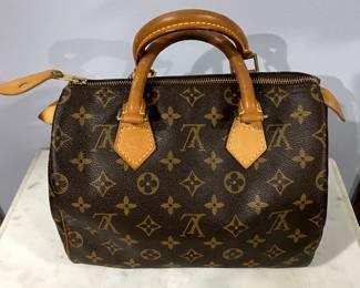 Louis Vuiton Purse