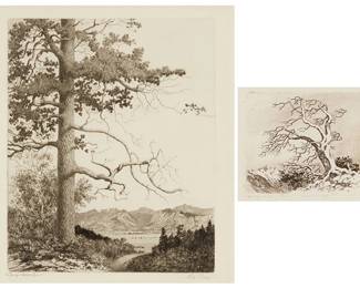 1241
George Elbert Burr (1859-1939)
Two works:

"Old Pine," 1922
Etching on wove paper
From the edition of unknown size
Signed and titled in pencil in the lower margin: © George Elbert Burr
Plate: 11.75" H x 9.75" W; Sight: 13" H x 11.75" W

"Study of Pines", 1918
Etching on wove paper
From the edition of unknown size
Signed and inscribed in pencil in the lower margin: George Elbert Burr / "Del. et Imp."; titled, dated, numbered, and inscribed in ink on a label affixed on the frame's backing paper, in another hand: "[No. 7] 1918 Christmas Card"
Plate: 2.5" H x 2.875" W; Sight: 4.5" H x 4.75" W
Estimate: $600 - $800