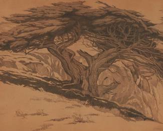 1209
Cornelis Botke
1887-1954
Cypress
Pencil on tan paper
Signed lower right: Cornelis Botke
Sight: 16.25" H x 23.25" W
Estimate: $500 - $700