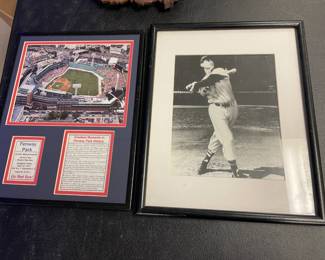 FENWAY/TED RED SOX