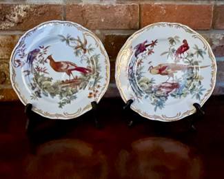 Exotic birds decorative plates